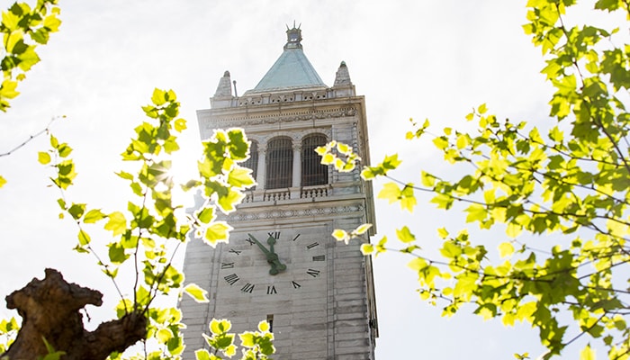 UC Bears Clock 
