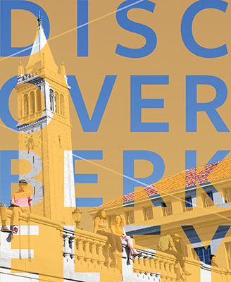 Discover Bears